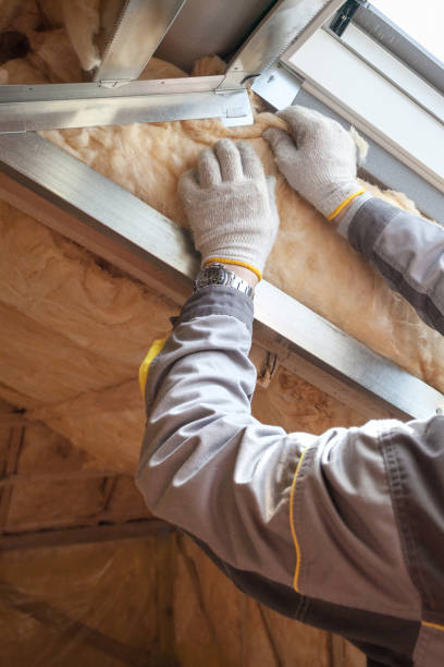 Best Attic Insulation Installation  in Mcgraw, NY