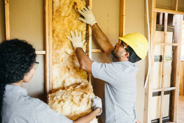 Best Insulation Removal  in Mcgraw, NY