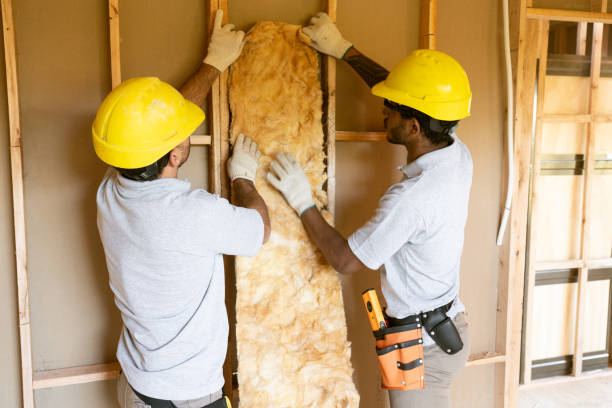Best Fiberglass Insulation  in Mcgraw, NY