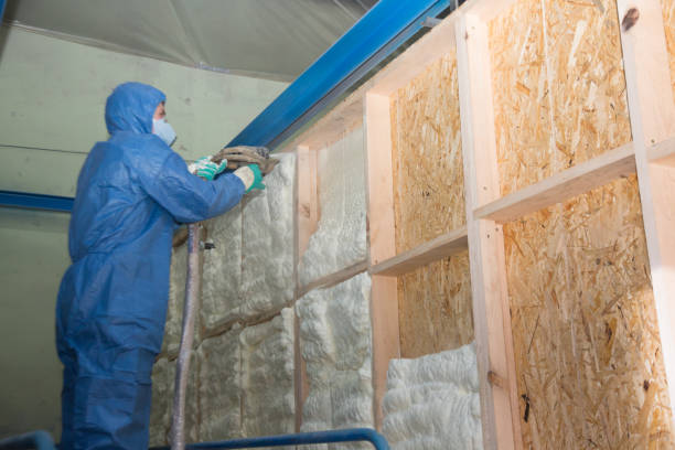 Best Attic Insulation Installation  in Mcgraw, NY