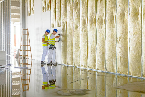 Best Commercial Insulation Contractor  in Mcgraw, NY
